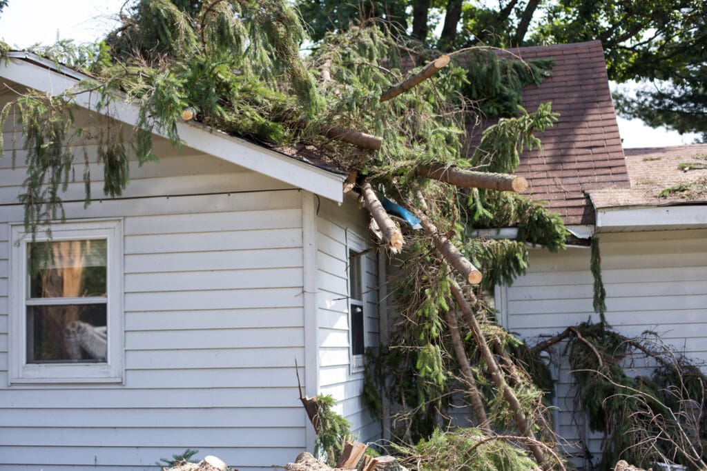 roof storm damage from fallen tree branches